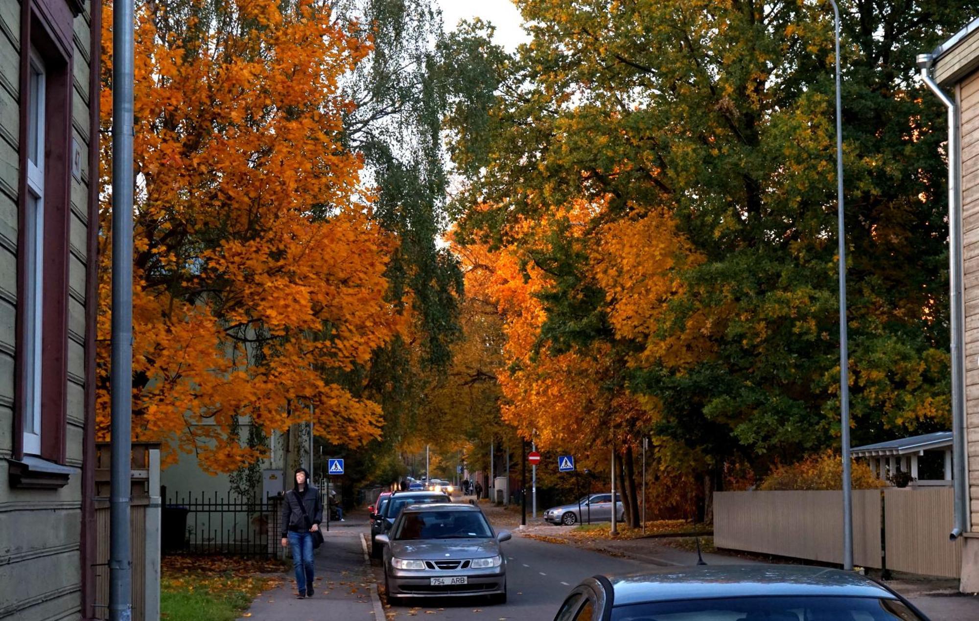 Quiet Romantic Studio Plus Parking, Tartu Home Eksteriør billede